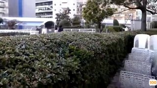 狐狸不是妖自慰88